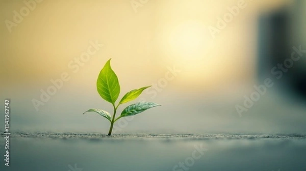 Fototapeta Abstract business concept symbolizing simplicity and clarity in modern strategy.
