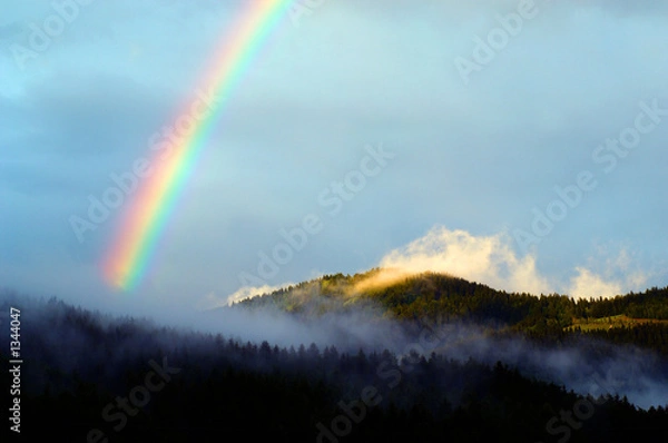 Fototapeta kolorowy Raibow po letnim deszczu