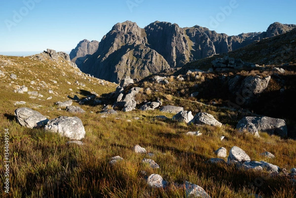 Obraz Rugged mountain scenery with golden grass in Jonkershoek Nature Reserve