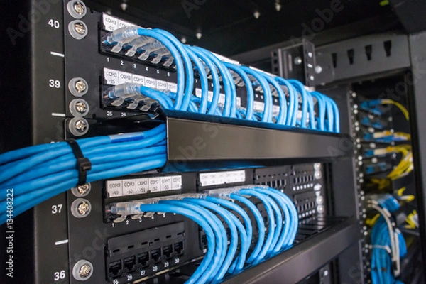 Obraz Kable Ethernet i panel ścieżki w szafie rack