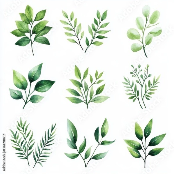 Fototapeta Set of watercolor bouquets of green leaves branches elements. Collection botanical vector isolated on white background suitable for wedding Invitation, save the date, thank you, or greeting card