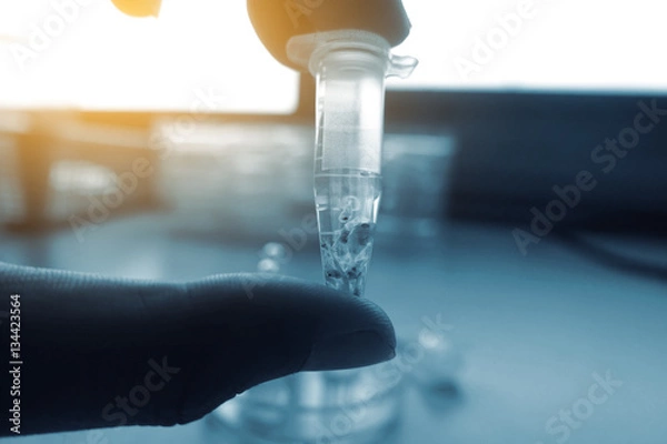 Fototapeta scientist hand holding laboratory test tube with soft focus