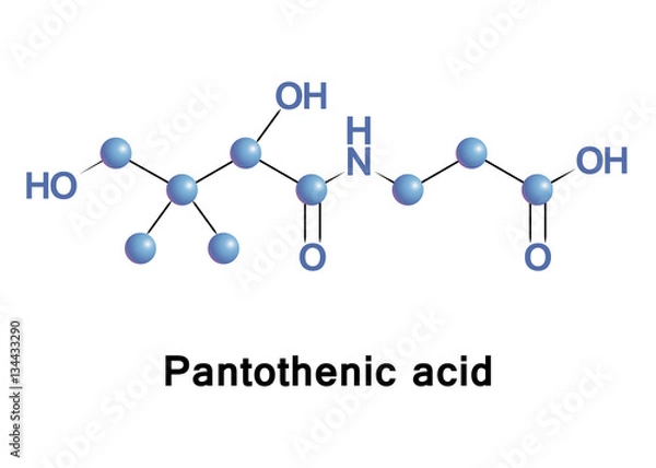 Fototapeta Pantothenic acid, also called vitamin B5, is a water-soluble vitamin. It is an essential nutrient that requires to synthesize coenzyme-A, as well as to metabolize proteins, carbohydrates and fats. 