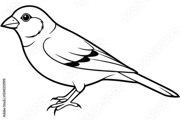Obraz canary line art silhouette vector illustration