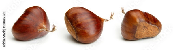 Obraz Chestnut on white
