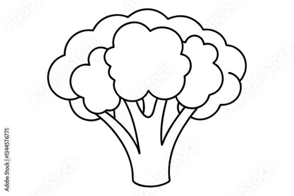 Fototapeta broccoli line art silhouette vector illustration
