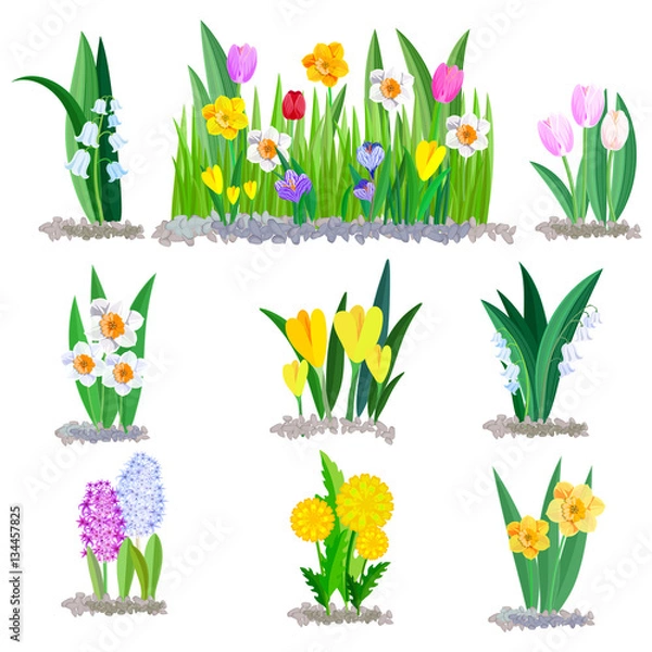 Obraz Spring flowers lily of the valley, crocus and tulips borders elements isolated on white.