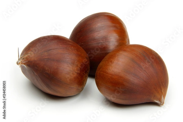 Obraz Chestnut on white