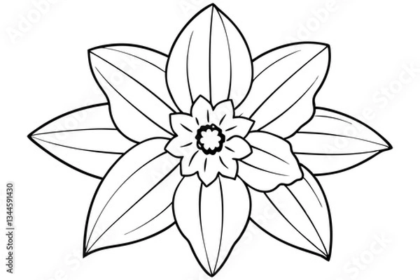 Fototapeta daffodil line art silhouette vector illustration