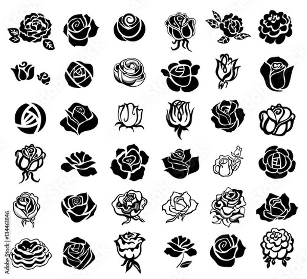 Fototapeta Roses design elements