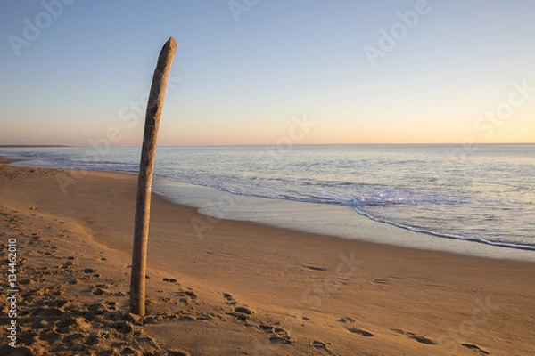 Fototapeta view on a beach at sunset with golden sand and quiet sea