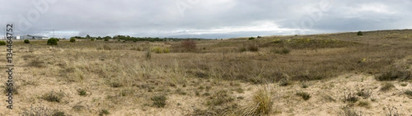 Fototapeta Panoramic view over the sandy dunes of the natural reserve of Casse de la Belle Henriette, l'Aiguillon sur Mer, Vendee, France