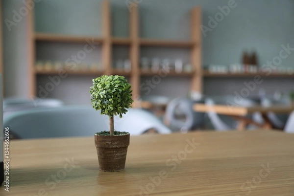 Obraz cactus in a pot
