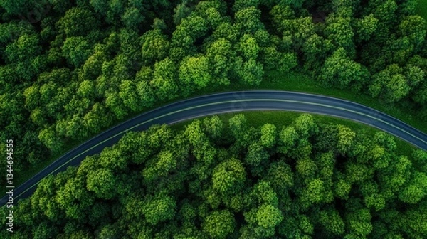 Fototapeta A green highway stretching into the horizon, symbolizing sustainable travel. Space for text in the sky.