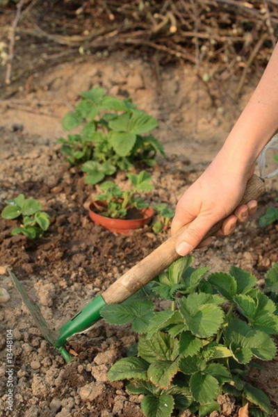 Obraz Pracować w ogrodzie