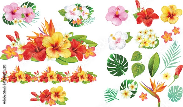 Fototapeta Tropical Hibiscus Flower Composition with Separate Elements for Designs and Custom Arrangements