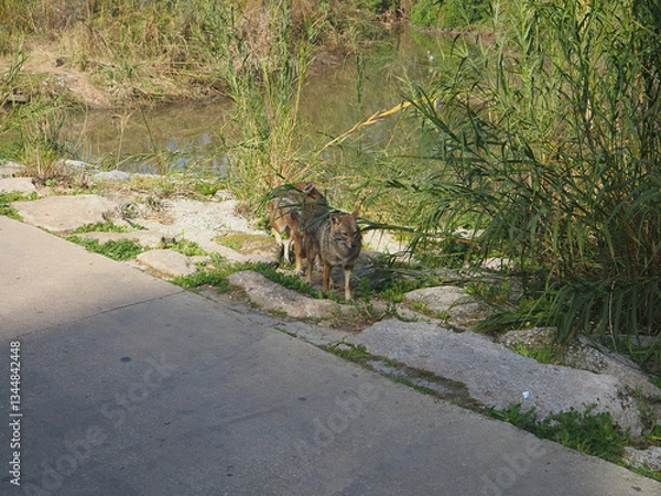 Obraz Park HaYarkon in Tel Aviv