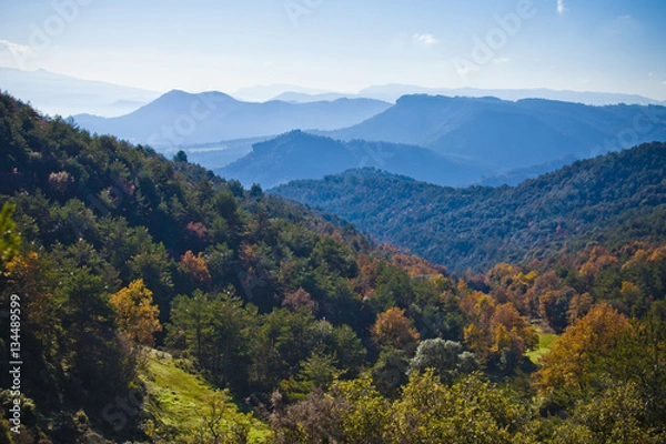 Obraz Mountains and autumn forest with oaks and pines between Osona an llucanes.