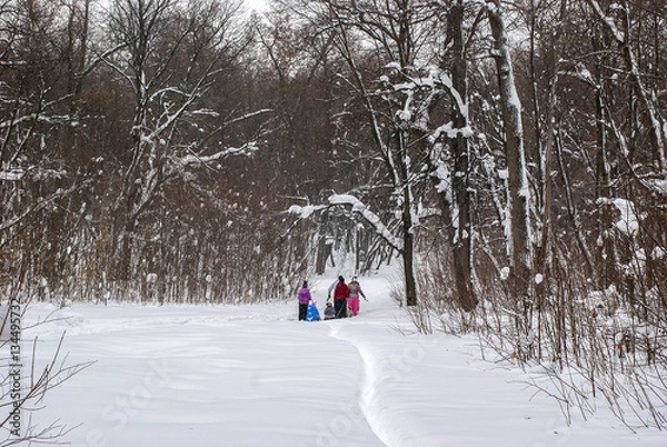 Obraz Friends on walk