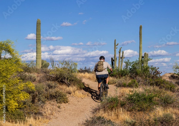 Fototapeta Man Riding A Mountain Bike Up A Desert Trail In  Preserve Scottsdale AZ At Spring Time