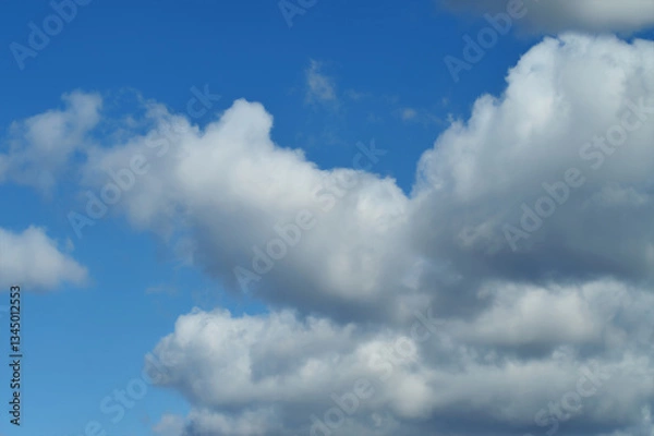 Fototapeta Multiple Puffy Clouds in Bright Blue Sky – Clean and Dreamy Nature Image for Stock Use, Sky Textures, and Inspirational Creative Projects
