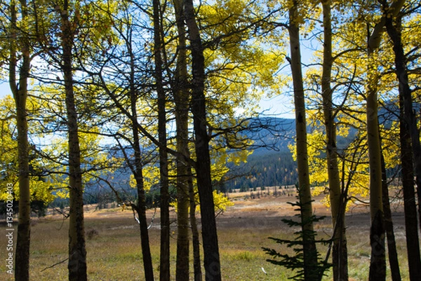 Obraz Mountain valley in autumn
