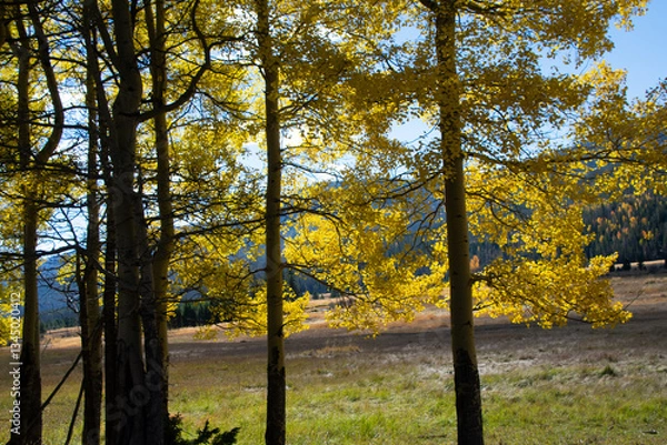 Obraz Mountain valley in autumn