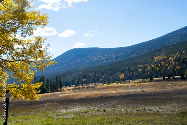 Obraz Mountain valley in autumn