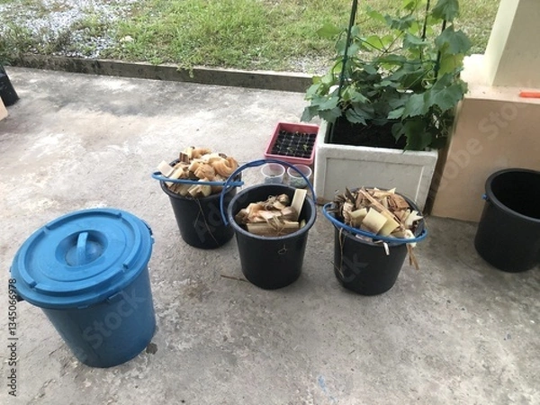 Fototapeta Close-up of chopped banana stems in plastic buckets, ready for composting, outdoor setting.