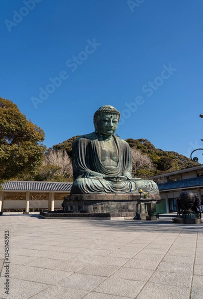 Fototapeta 鎌倉大仏　高徳院