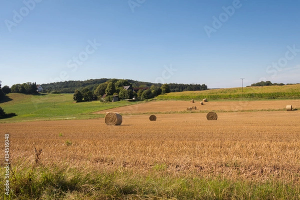Obraz Sommer im Sauerland