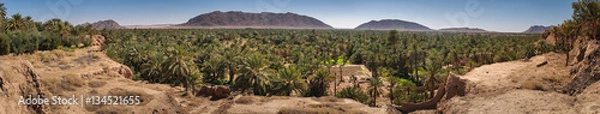 Fototapeta Panoramic view over oasis of date palms, Figuig, Morocco