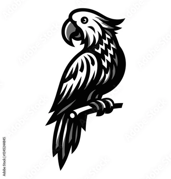 Fototapeta Vector Illustration of Cockatoo Perched on Branch with Black and White Detailed Outline Design