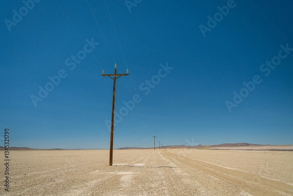 Fototapeta Empty Nevada Desert With Pole