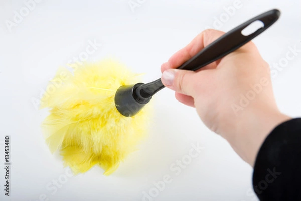 Obraz Hand with duster