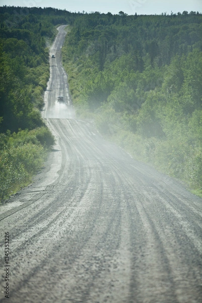 Obraz The long and dusty road
