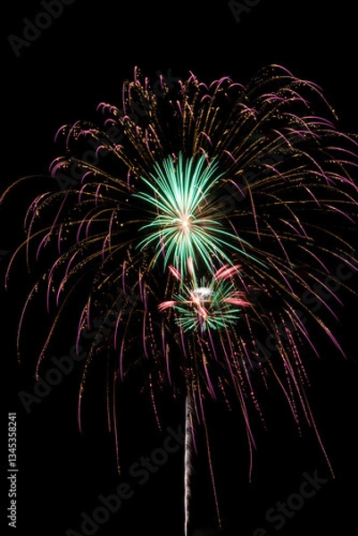 Obraz Fireworks in Minnesota