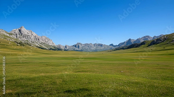 Fototapeta Green Meadow with White Flowers Under Clear Blue Sky and Rocky Mountains in the Background