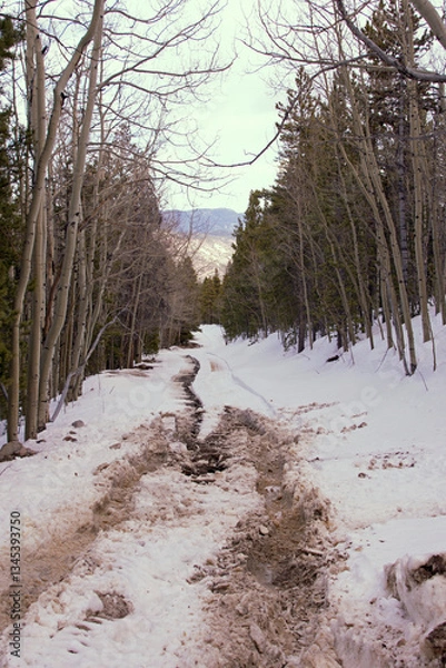 Fototapeta muddy tracks on a snowy road