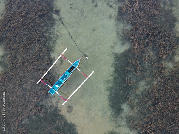 Obraz Aerial view of white sandy tropical beach with traditional Indonesian boats and aquatic plants