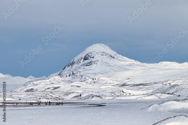 Fototapeta Blue sky over snowy mountains on the Denali Highway on a cloudy spring day in Alaska.
