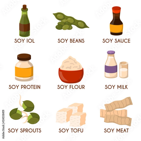 Fototapeta Vector illustration with cartoon soy products: sauce, protein, soy milk, beans, oil, flour, sprouts, soy meat, tofu. Vegan source of protein. Vector healthy food concept icon. Vegetarian lifestyle