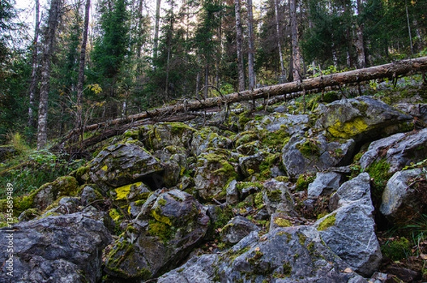 Obraz Southern Urals, stone placer on the ascent to the Aigir rocks (Teeth of the Shurale).