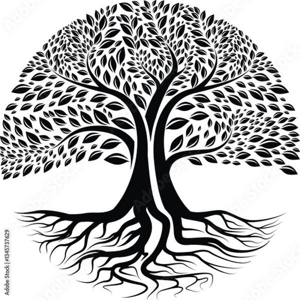 Fototapeta Root Of The Tree logo illustration. Vector silhouette of a tree, green forestry strong root tree logo, High detail illustration of an old olive tree, hand drawn, vector