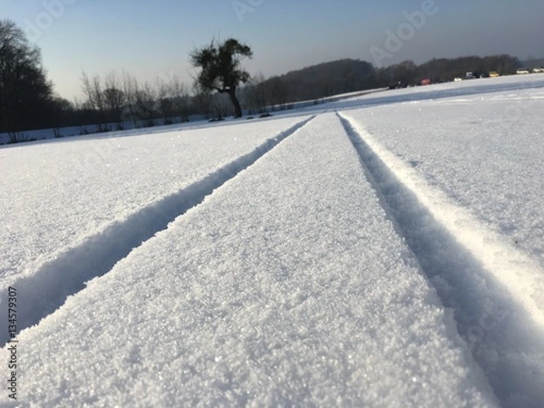 Fototapeta Schlittenspuren
