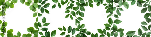 Fototapeta Vibrant and verdant foliage with a variety of green leaves creating a decorative border or frame around a natural background