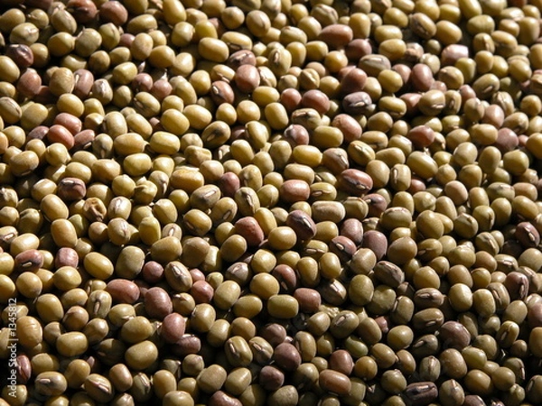 Obraz mung beans