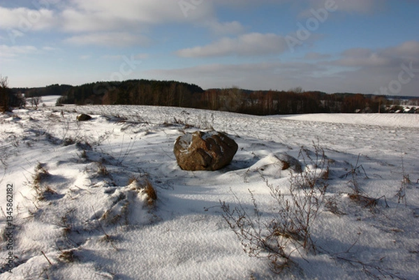 Obraz Winter frosty day. Hard solar lighting. The large stone lies on border between the field and a meadow. Everything is covered with snow. The wood is visible in the distance.