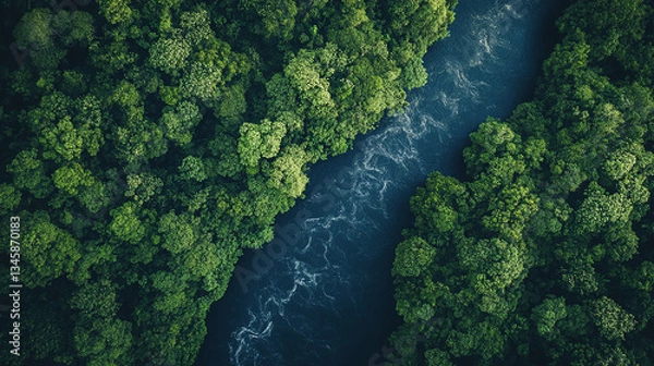 Fototapeta Aerial top view of Boat on the river in Mangrove F 72d4520c-d45f-4022-b53d-0b80fd5f0288Aerial photo of Amazon rain forest jungle 