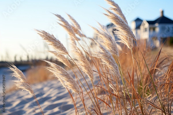 Obraz Thriving in harshest of conditions, sea oats proudly flaunt their elegant shapes, weathered textures, and vital role in preserving stability of sandy landscapes, making them truly one of a kind